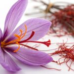 【解禁】"赤い金"サフランがストレスを粉砕する！？韓国で承認された「affron」で認められたメンタルケアの実力