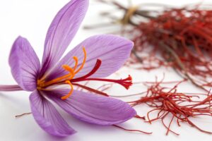 【解禁】"赤い金"サフランがストレスを粉砕する！？韓国で承認された「affron」で認められたメンタルケアの実力
