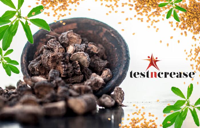 マカの16倍の改善率!?次世代精力サプリ”テストインクリース”が米国で開発される