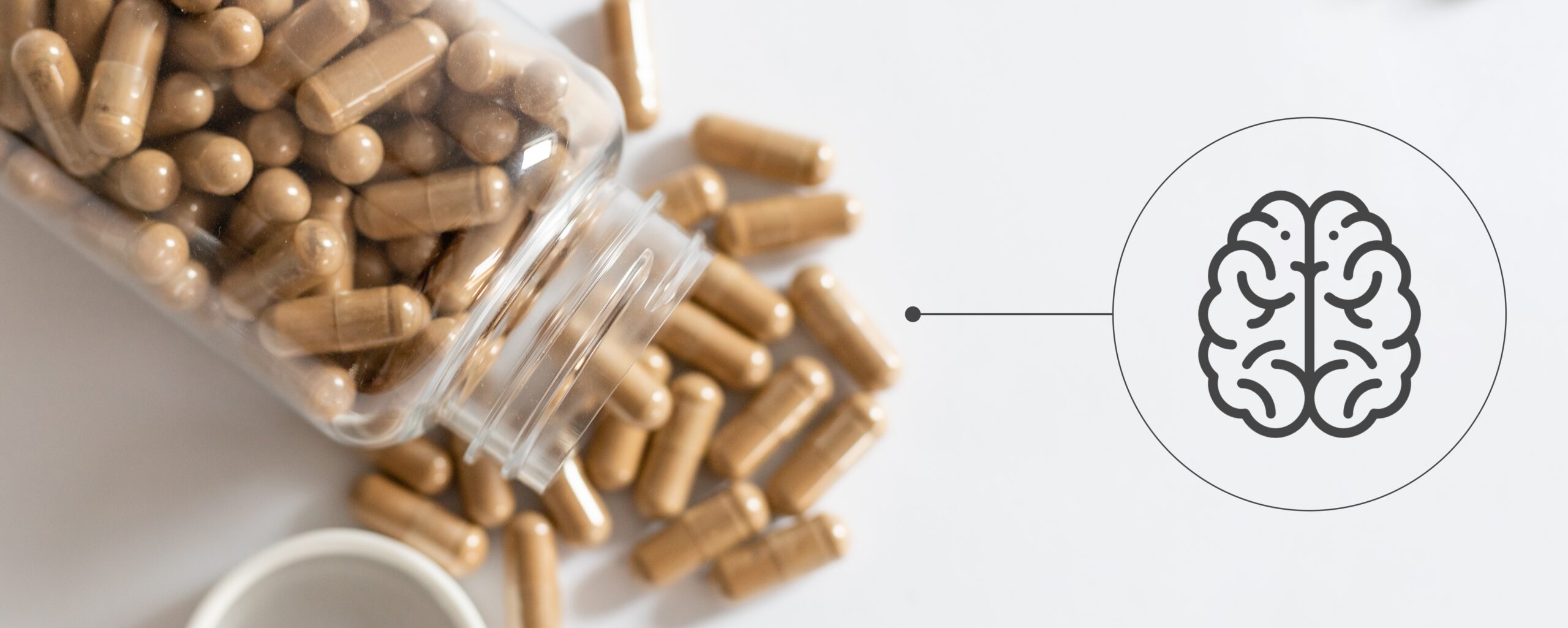 脳のパフォーマンスをハックせよ。世界大手が仕掛ける最新ブレイン・サプリの正体